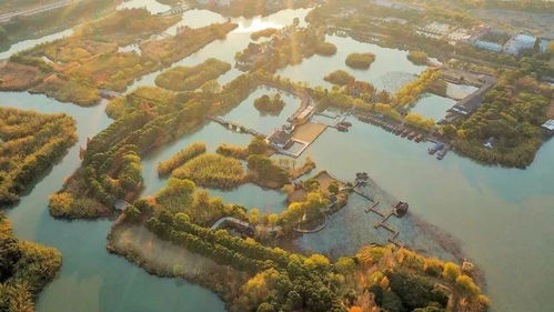 通滬高鐵通車在即 上海出發(fā)，跟隨高鐵暢游沙家浜