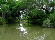 寧波到廈門(mén)鼓浪嶼旅游 - 暢游鼓浪嶼與沙家浜的完美線路